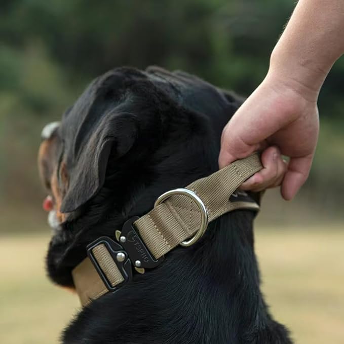 TSPRO Premium Dog Collars Tactical Dog Collar with Handle and Heavy Duty Quick-Release Metal Buckle Durable Thick and Adjustable for Medium to Large Dogs (Orange L)