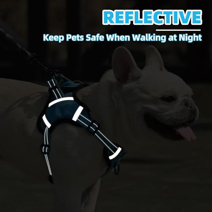 PUPTECK No Pull Dog Harness Small Medium Sized Dog, Adjustable Reflective Escape Proof Easy Control, Comfortable Soft Padded Step in Pet Vest Harness, Blue, M