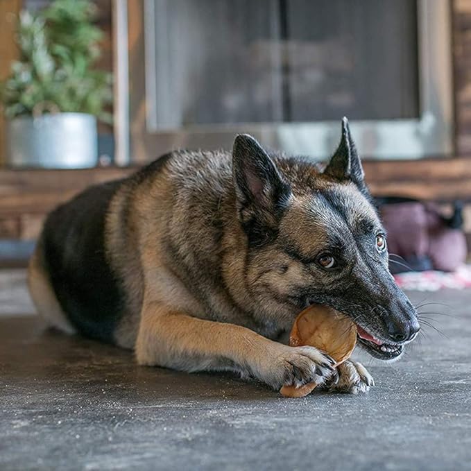 Best Pet Supplies GigaBite Roasted Pig Ears for Dogs - Natural Dog Chews, Roasted Pigs Ears, Safe for Puppies and Aggressive Chewers, Cleans Teeth and Gums - Half-Cut, Pack of 20