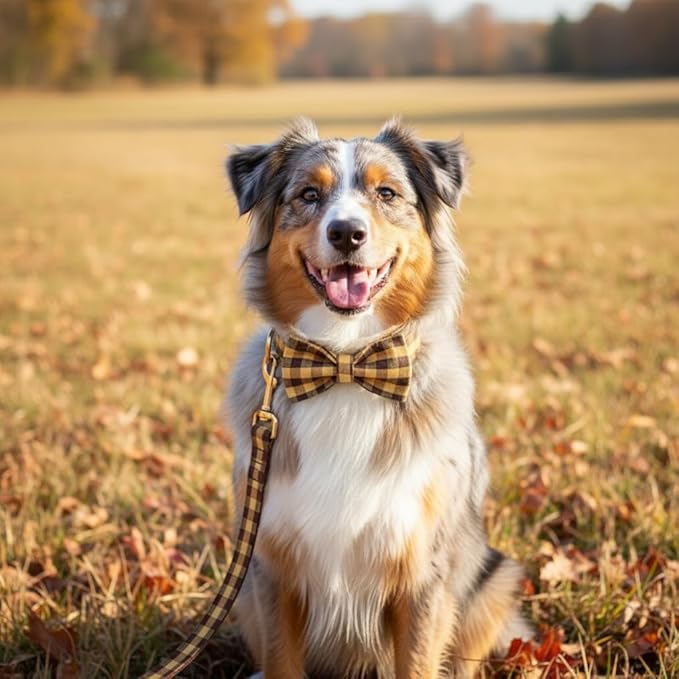 PETDURO Personalized Checkered Plaid Dog Collar Brown Yellow - Engraved Name and Phone Number on Gold Metal Buckle - Custom for Small Medium Large Boy Girl Dogs - Add Leash Bow Tie via Customize Now