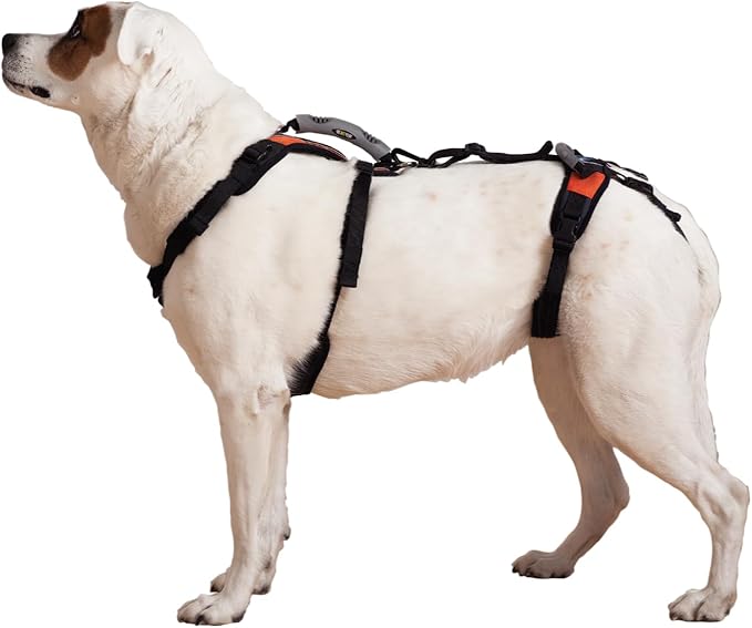 Help 'Em Up® - Dog Lift Harness│ Adjustable Lifting Harness for Dogs │ Full Body Support, Rear Leg Support (U-Band, Medium)
