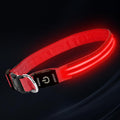PetIsay Dog Light up Collar for Night Walking - High Visibility LED Dog Collar - Rechargeable - Waterproof - Reflective - Adjustable Lighted Glow Collars(Red,Medium)