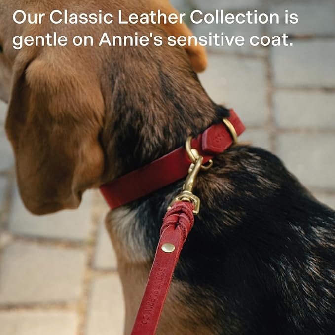 Scout Supply Classic Leather Dog Leash | Strong Heavy Duty Thick Full Grain Leather | Waterproof & Rust-Proof Brass Hardware (Red, L: 4.5 ft x 2/3 in)
