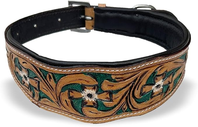 Majestic Ally Leather Dog Collar with Adjustable, Padded Fit for Walking, Hiking, and Running, Designer Western Wear for Puppies, Fancy Colors (Hunter Green - Natural, Extra Large)