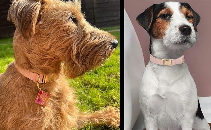 Soft Cotton Dog Collar with Metal Buckle Adjustable Heavy Duty Comfy Corduroy Collars for Small Medium Large Dogs,Light Pink,Small