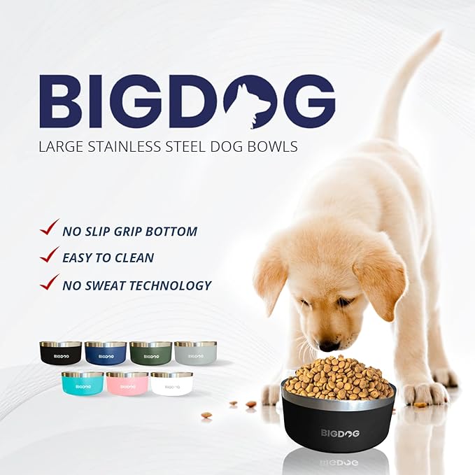 Grey Bigdog Dog Bowl