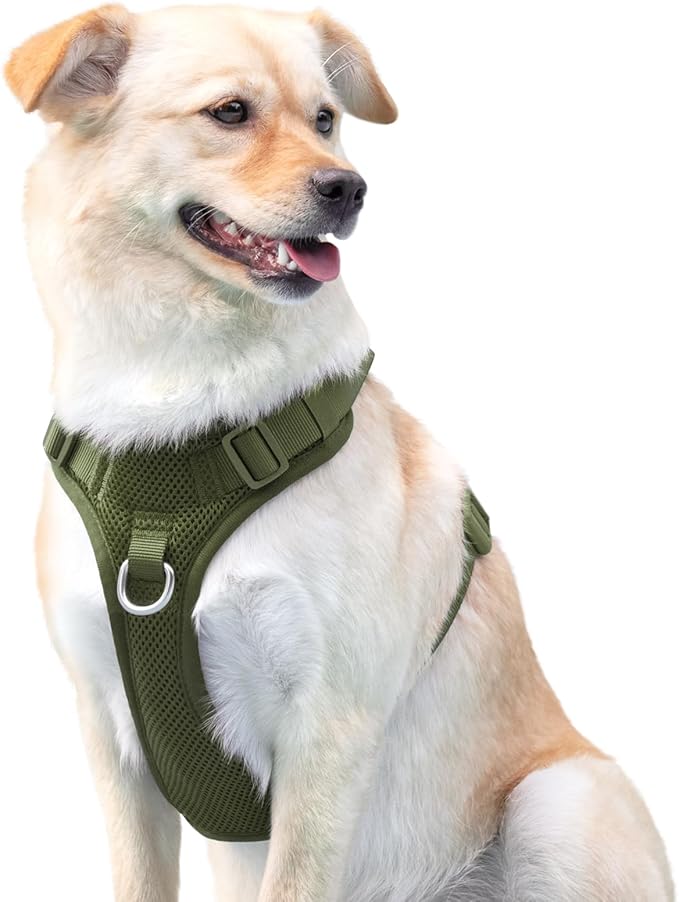 No Pull Dog Harness for Small Medium Large Dogs - Adjustable 2 Layer Mesh Dog Vest with Dual Clip, Escape Proof, Quick Release, Lightweight Breathable Mesh for Walking Hiking (Misty Green,M)