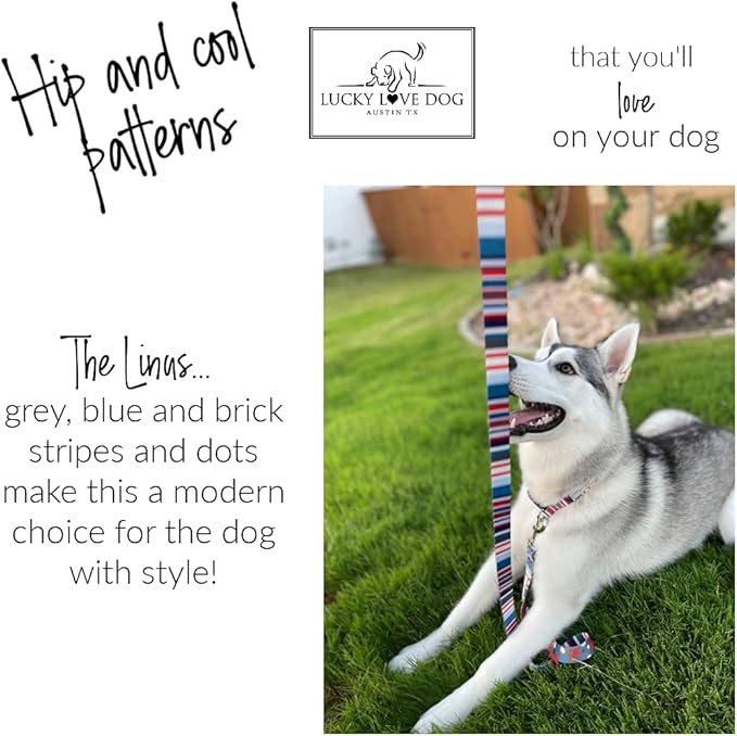 Lucky Love Dog Leash – Soft, Durable, and Comfortable Leash with Vibrant Patterns – Stylish and Long Lasting for Small Male and Female Dogs – Linus, Small