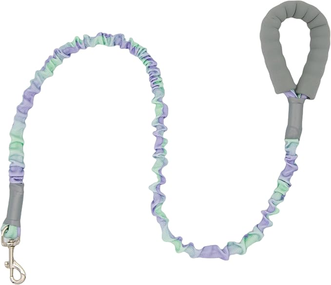 Ombré Shock-Absorbing Dog Leash with Padded Handle, Heavy Duty Bungee Leash for Large Dogs, 1.2–1.7 m(4–5.5 ft) (Violet-Green Ombré)