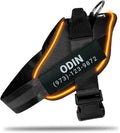 Personalized No Pull 360° LED Dog Harness with Custom Name Patches, USB Rechargeable, Adjustable, Reflective for Night Walks, Rainproof Module with 3 Modes Lasts up to 24h, Black, 2XL