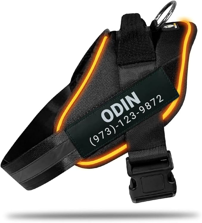 Personalized No Pull 360° LED Dog Harness with Custom Name Patches, USB Rechargeable, Adjustable, Reflective for Night Walks, Rainproof Module with 3 Modes Lasts up to 24h, Black, 2XL