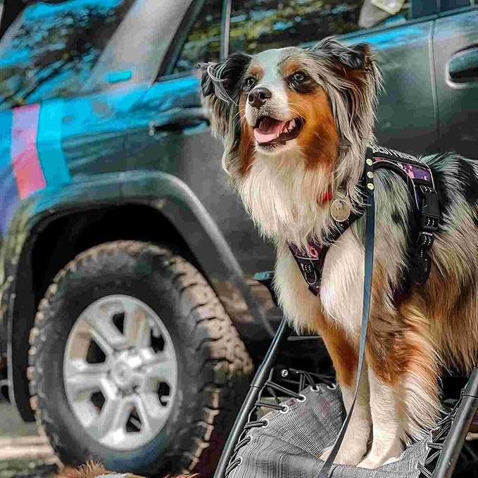 AUROTH Tactical Dog Harness for Large Dogs No Pull Adjustable Pet Harness Reflective K9 Working Training Easy Control Pet Vest Military Service Dog Harnesses Purple Camo XXL