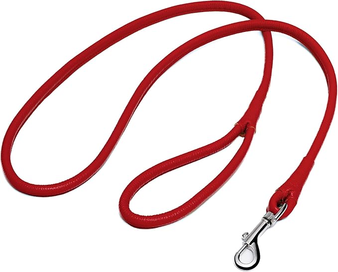 OOPSDOGGY Rolled Leather Dog Lead 6ft Heavy Duty Training Leash for Small Medium Large Dogs & Puppy Black Brown Red (Red, Small)