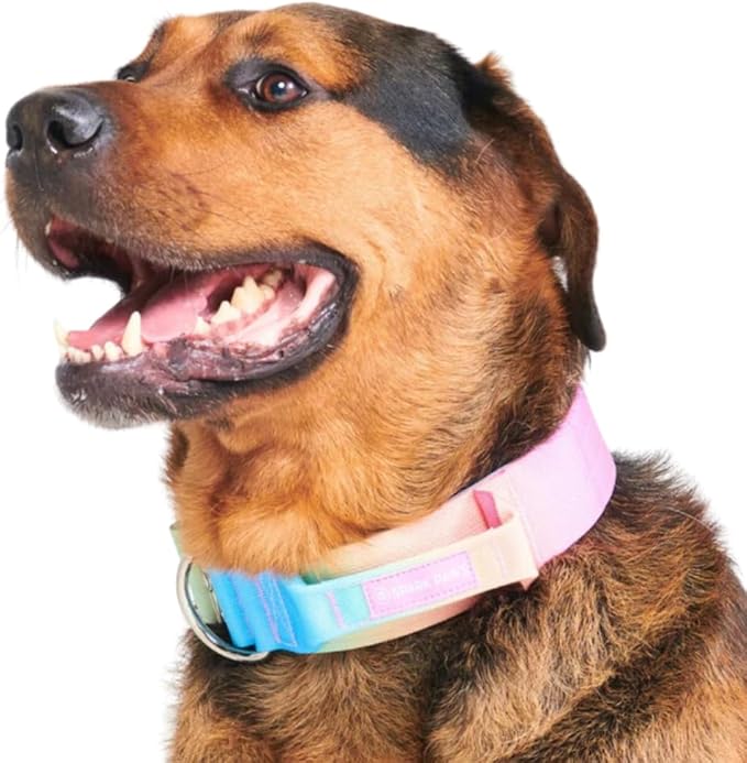 Tactical Dog Collar with Handle - Premium Quality Collar, Robust and Durable Design for Large, Strong Breeds - Pitbulls, Labradors, GSD - Pastel Icing - S - 1.5"