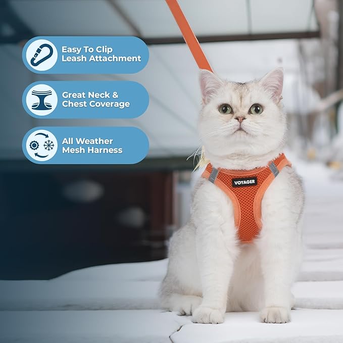 Voyager Step-in Pet Harness - All Weather Mesh, Adjustable Step in Harness for Cats and Dogs by Best Pet Supplies - 307S Orange, XS