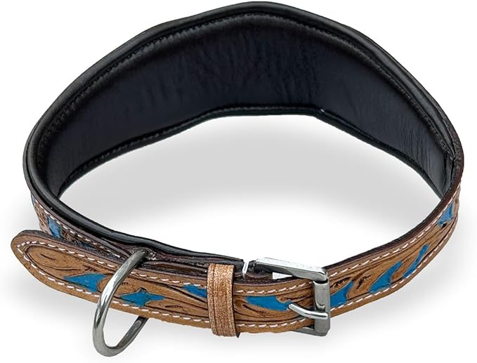Majestic Ally Leather Dog Collar with Adjustable, Padded Fit for Walking, Hiking, and Running, Designer Western Wear for Puppies, Fancy Colors (Royal Blue - Natural, Medium)
