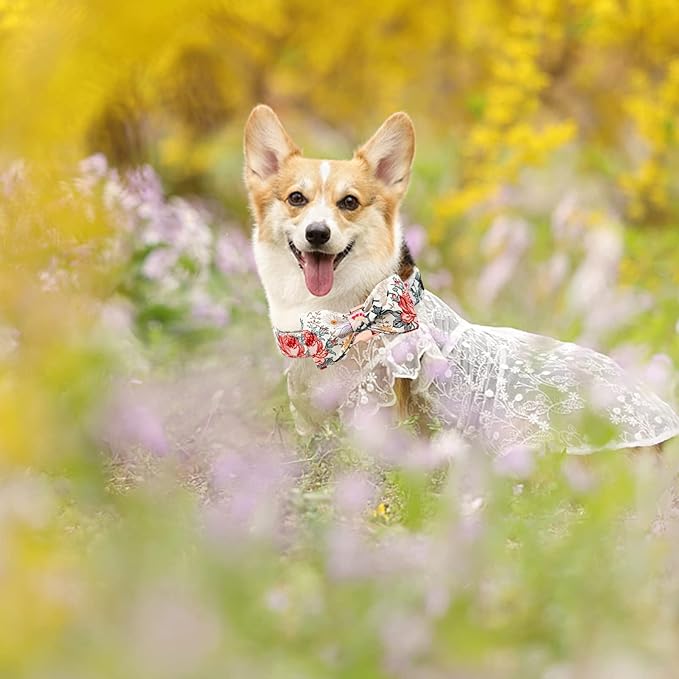 Elegant little tail Vintage Floral Dog Collar with Bow, Comfotable Dog Bowtie, Dog Collar Bow Adjustable Dog Collars for Small Medium Large Dogs