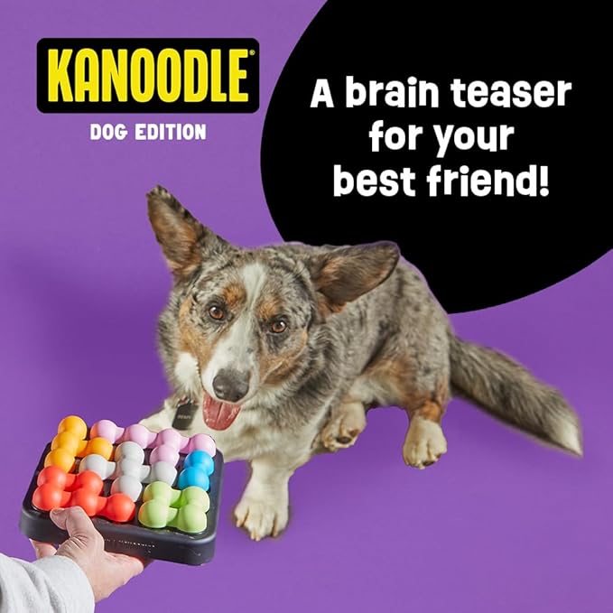 Brightkins Kanoodle Dog Edition Small - Interactive Puzzle Toys, Enrichment Slow Feeder, Training Tool for Puppies