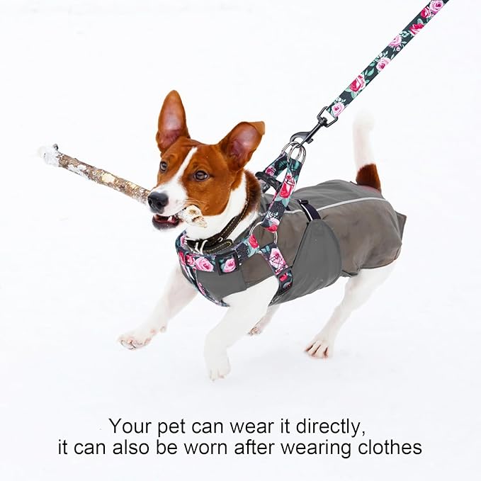 BEAUTYZOO No Pull Dog Harness and Leash Set - Adjustable Step-in Puppy Harness for Small Medium Large Dogs, Escape Proof Soft Nylon Vest with Double D Ring for Walking Running Training, Black XS