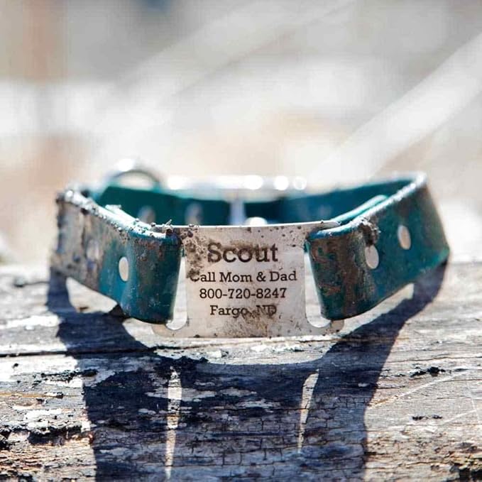 dogIDs Personalized Dog Collar – ScruffTag Custom Waterproof Biothane Dog Collar with Laser-Engraved Name, Durable & Odor-Resistant – USA Made | Navy, 1 in x 20 in (Fits Neck Sizes 18-22 in)