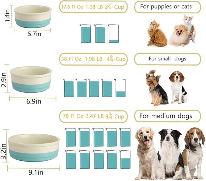 Sweejar Ceramic Dog Bowls, Dog Food Dish for Small Dogs and Cat, Heavy Duty Porcelain Pet Bowl for Canned Food and Water 17 Fl Oz （Purple）