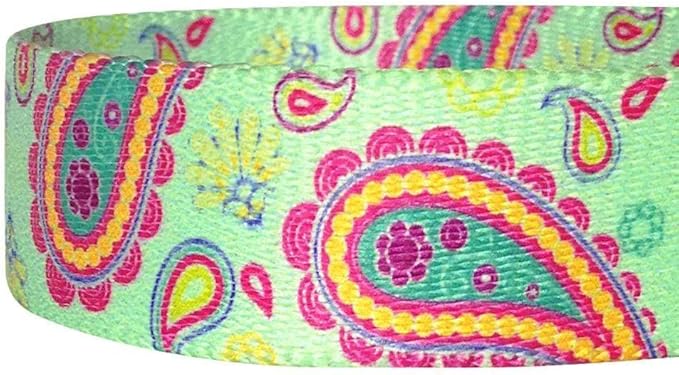 Blueberry Pet 5 Colors Paisley Flower Print Dog Leash with Soft & Comfortable Handle, 5 ft x 5/8", Emerald Green, Small, Leashes for Dogs