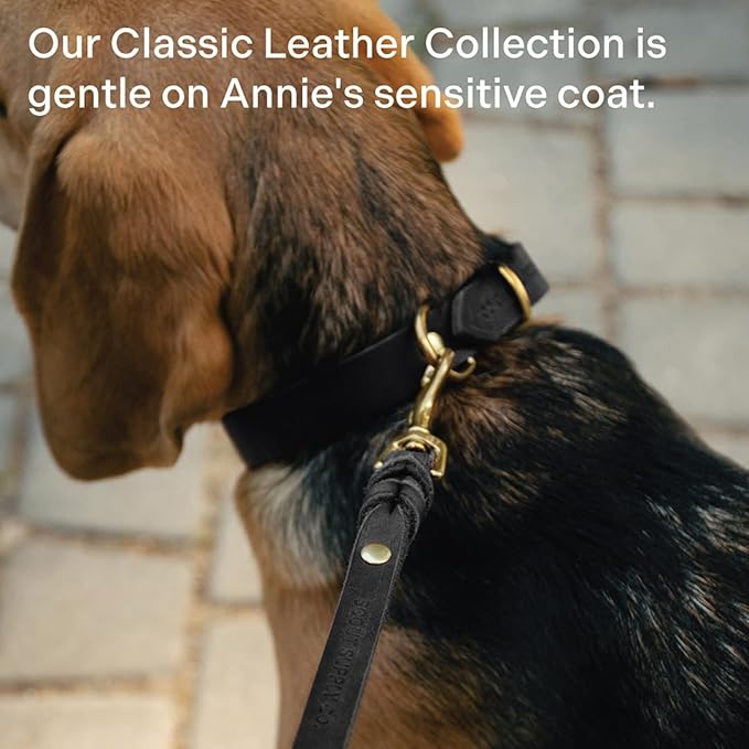 Scout Supply Classic Leather Dog Leash | Strong Heavy Duty Thick Full Grain Leather | Waterproof & Rust-Proof Brass Hardware (Black, L: 4.5 ft x 2/3 in)