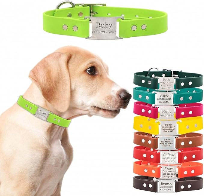 dogIDs Personalized Dog Collar – ScruffTag Custom Waterproof Biothane Dog Collar with Laser-Engraved Name, Durable & Odor-Resistant – USA Made | Margarita, 1 in x 16 in (Fits Neck Sizes 14-18 in)