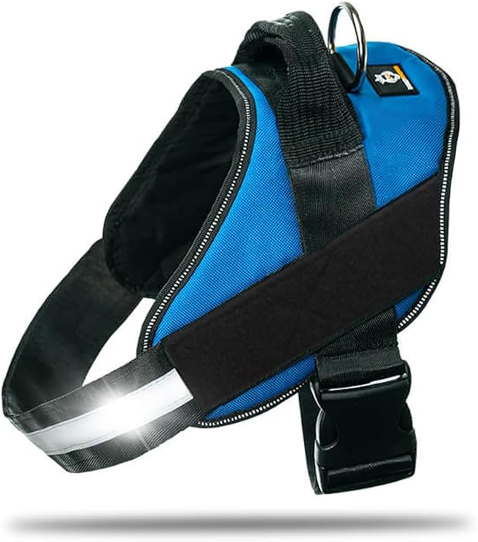 Non Pull Dog Harness with Patch Panels and Handle, Adjustable, Reflective, No Choke, Heavy Duty Easy On Service Dog Vest Harnesses for Medium Large Small Sized Dogs - Blue, XS