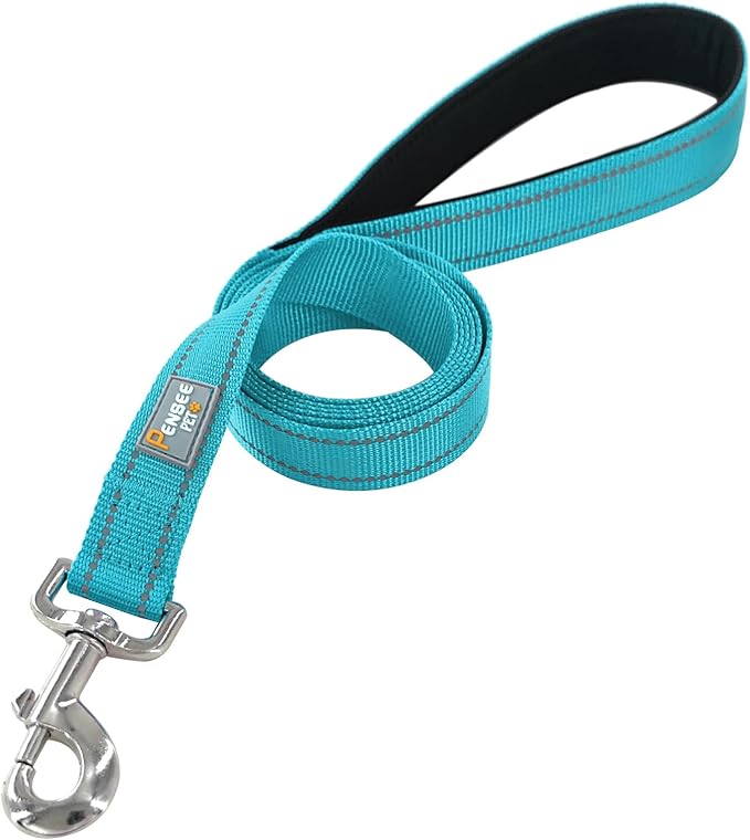 Dog Leash 6 FT Padded Handle Nylon Reflective Dogs Leashes for Medium Dogs Sky Blue