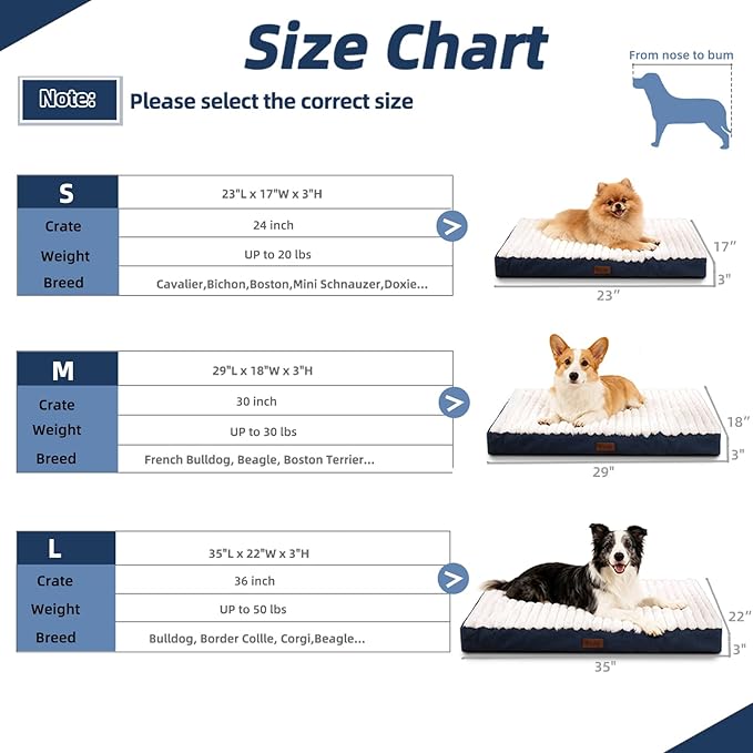Orthopedic Dog Bed with Firm High-Density Egg Crate Foam, Machine Washable Cover & Non-Slip Bottom for Medium Breeds (Blue, 29" L x 18" W x 3" H)