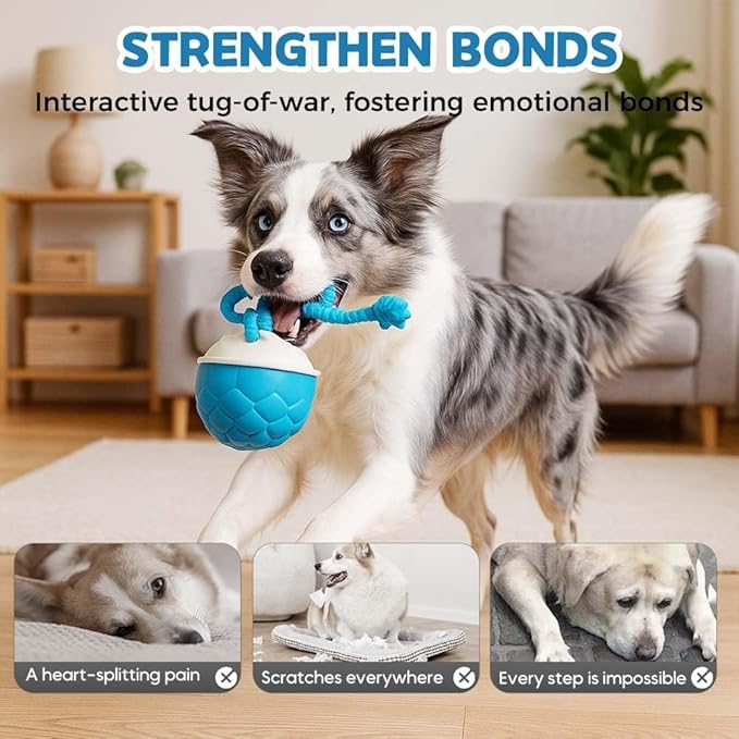 Interactive Dog Toys Motion Activated Automatic Rolling Ball Toys for Small/Medium/Large Dogs Balls for Boredom to Keep Them Busy with USB Rechargeable(Blue)