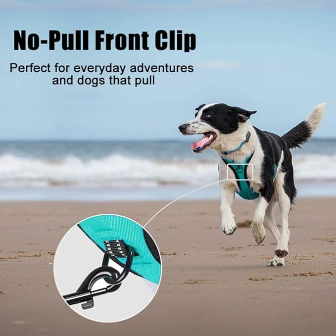 PoyPet No Pull Dog Harness, Reflective Comfortable Vest Harness with Front & Back 2 Leash Attachments and Easy Control Handle Adjustable Soft Padded Pet Vest for Small to Large Dogs (Mint Blue,XL)