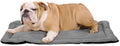 K9 Ballistics Tough Ripstop Dog Crate Pad - Durable, Machine Washable Kennel & Travel Mat for Puppies and Medium Dogs, 35 x 22 fits 36” Wire Crate, Light Gray Velvet