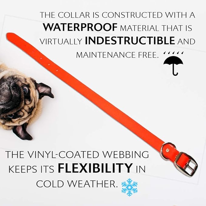 Regal Dog Products Medium Orange with Custom Engraved Waterproof Dog Collar and Leash Set | Waterproof Dog Collar with Double Buckle & D Ring - 5'ft Leash | Matching Dog Collar and Leash for Dogs