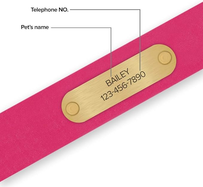 Regal Dog Products Large Pink Waterproof Dog Collars with Custom Engraved Name Plate | Vinyl Coated, Anti, Easy to Clean Personalized Biothane Dog Collar - Other Sizes for Small & Medium Dogs