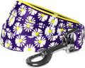 Blueberry Pet 2 Pattern Loving Daisy Prints Dog Leash with Soft & Comfortable Handle, 5 ft x 5/8", Small, Leashes for Dogs