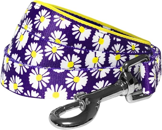 Blueberry Pet 2 Pattern Loving Daisy Prints Dog Leash with Soft & Comfortable Handle, 5 ft x 3/4", Medium, Leashes for Dogs