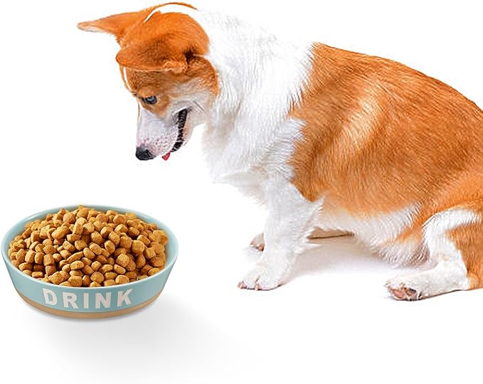 10" Non-Slip Ceramic Dog Bowl, 71 Oz Heavy-Duty Dog Food/Water Dish, Pet Feeding Bowl for Medium-Sized Dogs and Large Breeds, Porcelain Pet Feeder Bowl, Microwave and Dishwasher Safe, Lake Blue