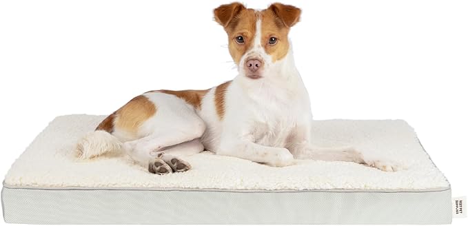 Best Pet Supplies Dog House Bed Crate Mat Tent Indoor Round Soft Plush for Small, Medium, and Large Breeds - Beige, 35 x 22 x 4