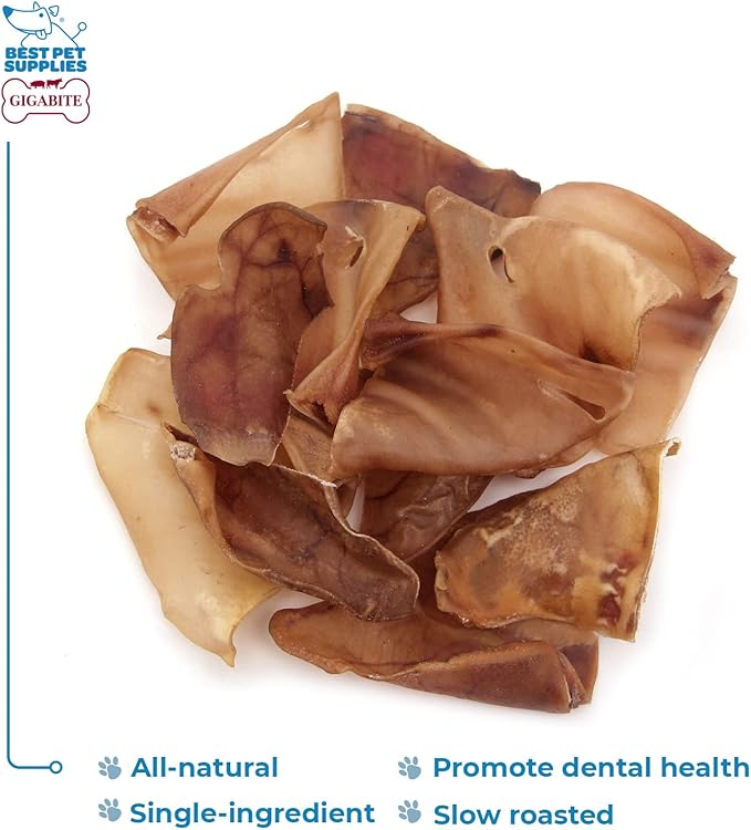 Best Pet Supplies GigaBite Roasted Pig Ears for Dogs - Natural Dog Chews, Roasted Pigs Ears, Safe for Puppies and Aggressive Chewers, Cleans Teeth and Gums - Whole Ears, Pack of 12