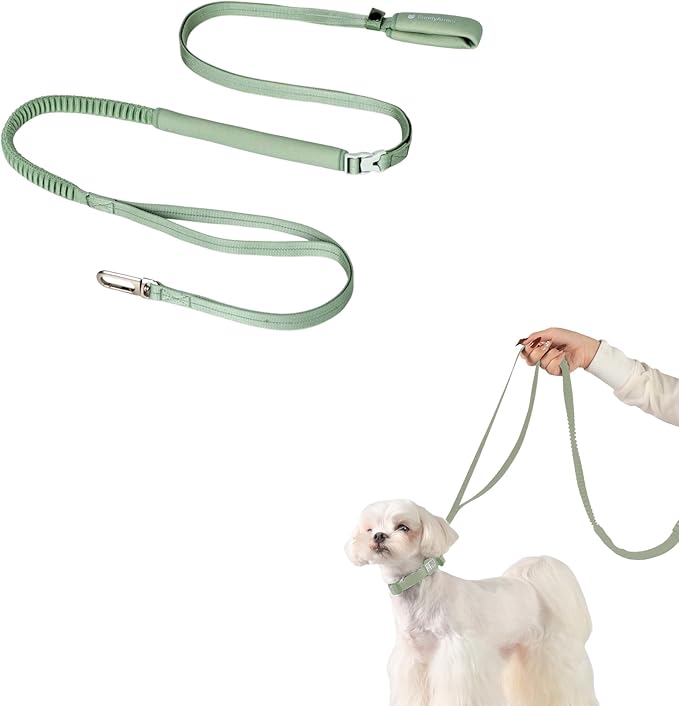 Hands Free Dog Leash Adjustable Versatile Crossbody Waist Dog Leash Reflective Comfortable Padded Handles Shock Absorbing Walking Lead for Small Medium Large Dogs (Light-Olive, S)