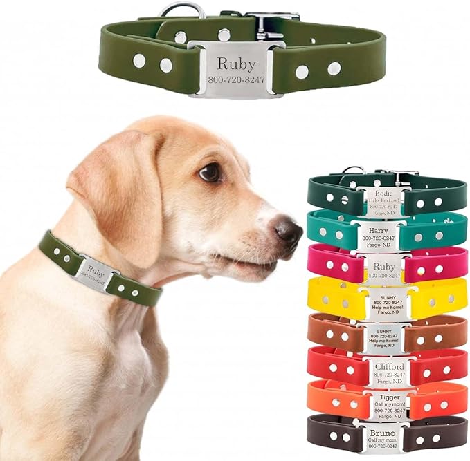 dogIDs Personalized Dog Collar – ScruffTag Custom Waterproof Biothane Dog Collar with Laser-Engraved Name, Durable & Odor-Resistant – USA Made | Sage, 1 in x 16 in (Fits Neck Sizes 14-18 in)