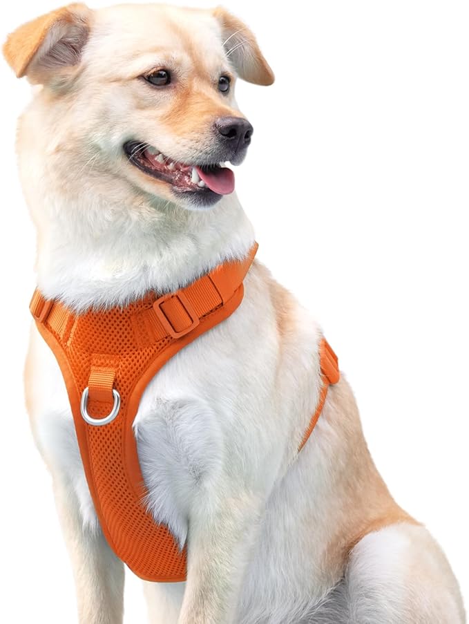 No Pull Dog Harness for Small Medium Large Dogs - Adjustable 2 Layer Mesh Dog Vest with Dual Clip, Escape Proof, Quick Release, Lightweight Breathable Mesh for Walking Hiking (Orange,S)