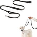 Hands Free Dog Leash Adjustable Versatile Crossbody Waist Dog Leash Reflective Comfortable Padded Handles Shock Absorbing Walking Lead for Small Medium Large Dogs (Super Reflect-Black, S)