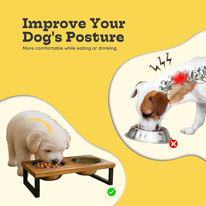 Elevated Dog Bowls, Small 4 Height Mango Wood Raised Dogs Bowl Stand Iron Frame with 16oz 2 Pcs Stainless Steel Pet Dishes | Food & Water 2Cup, 0.47L Capacity Nonslip Cats Feeding Station