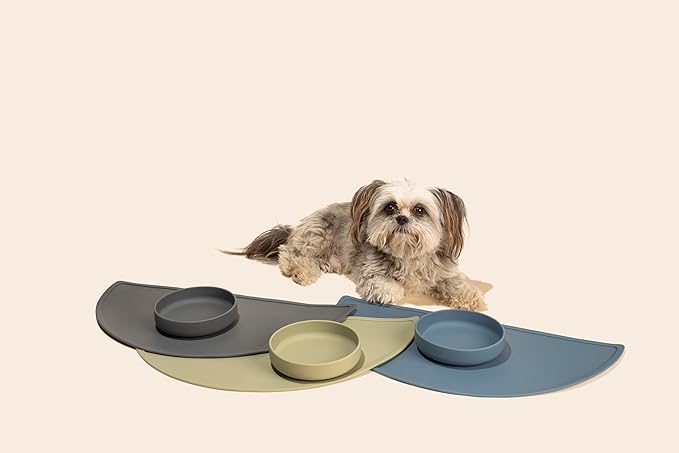 Should We Go? Dog Water Bowl - The Perfect Dish No-Spill, Less Mess Non-Tippable Water & Food Bowl, Pure Silicone with Suction Cup, Fits 2 Cups 6” Across x 1.25” Tall, Ideal for All Pets, Small-Blush