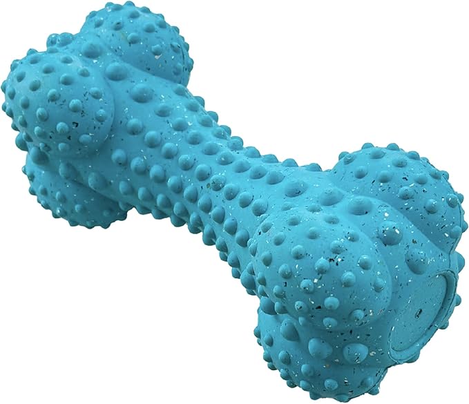 Max Fusion Made with Nike Grind, Arlee Rubber Bone Dog Toy, Dog Toys for All Dogs, Blue Durable & Natural Rubber Chew Toy for Play, Fetch, Tug & Chewing, Large, 1 Count