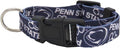 Texas Christian University Pet Team Collar
