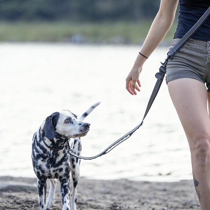 Hands Free Dog Leash - Waist or Shoulder Leash for Walking and Hiking with Medium and Large Dogs, Adjustable 4 to 6 FT Outdoor Bungee Lead with Traffic Handle by Nuvuq (18-120 lbs, Black)